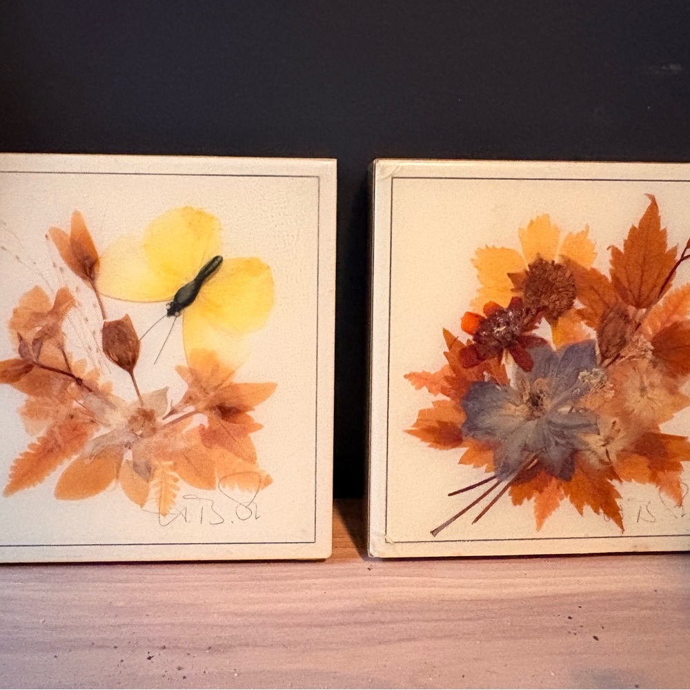Set of 3 Vintage Framed Botanical Wall Plaque - Cream - Picture 8 of 11